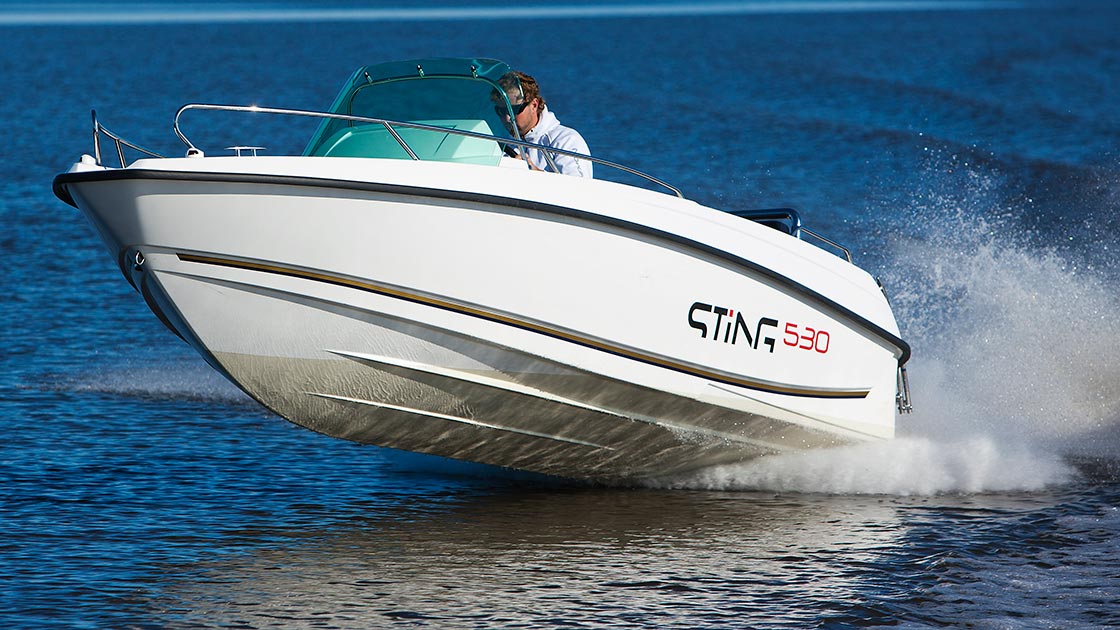 Ideální motorový člun na dovolenou na moři, STiNG 530 s lodním motorem Evinrude E-TEC E90 DPGL